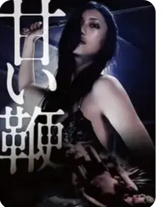 《甜蜜皮鞭》1080P超清画质无广告播放-中文字幕未删减版全集-日本经典电影甜蜜皮鞭在线观看