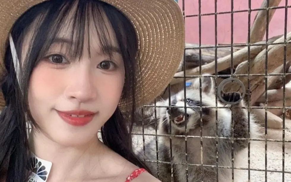 国产女神《苏畅》vlog视频大全-高清1080p无删减版全集-在线观看免费播放-VS影视资源