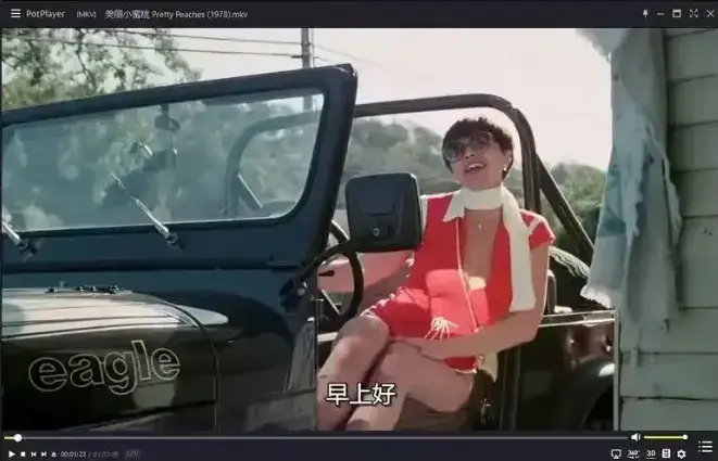 《美丽小蜜桃》高清完整版免费看-1978年复古美国喜剧无删减-《美丽小蜜桃》中字在线播放