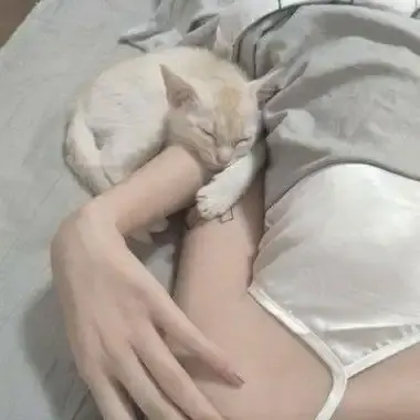 《森泽佳奈》高清全集未删减中文版免费在线观看无广告网盘资源-森泽佳奈1080P蓝光无水印版本-百度网盘夸克迅雷高速下载通道-森泽佳奈中文配音无广告在线播放
